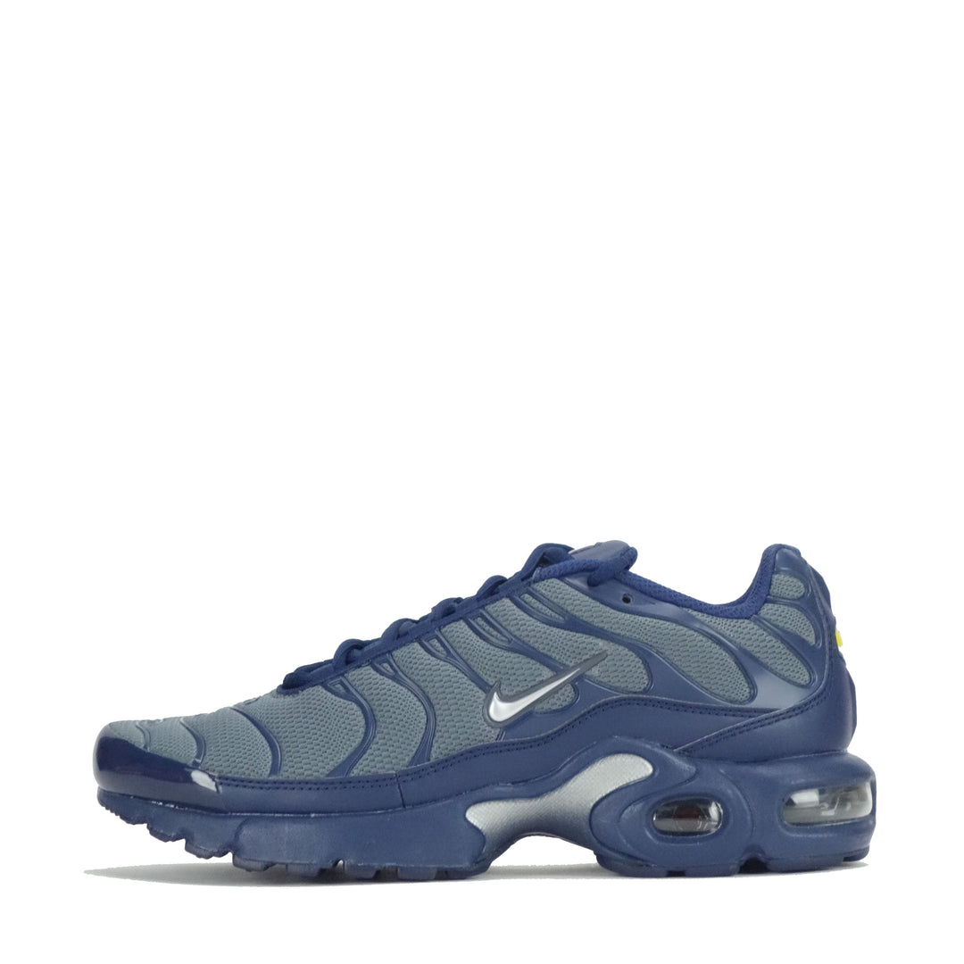 Nike Air Max Plus Junior Sports Sector